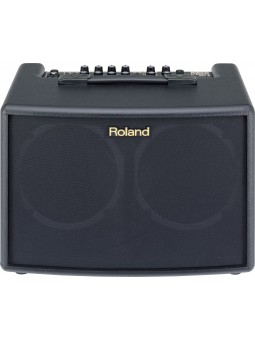 Roland AC-60