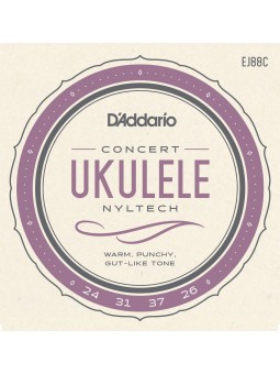 D'Addario EJ88C Concert