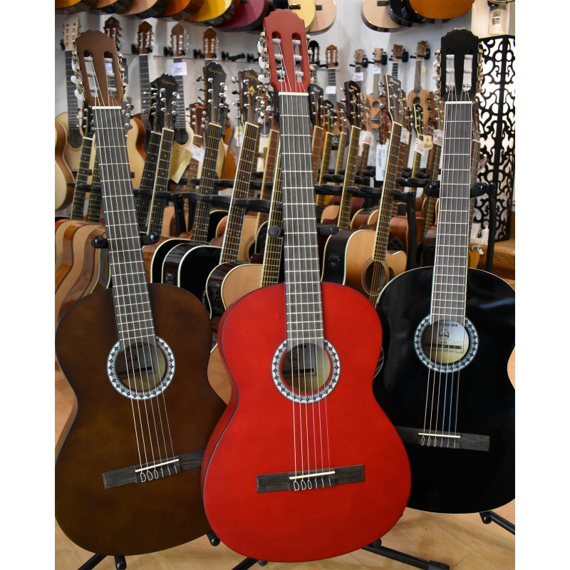 HOUSSE RITTER GUITARE CLASSIQUE 4/4