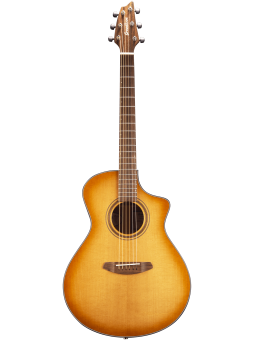 Breedlove Signature serie...