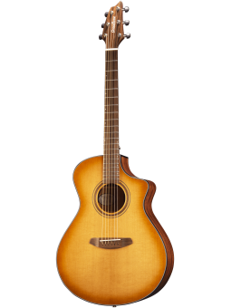 Breedlove Signature serie...