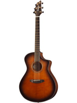 Breedlove Performer serie...