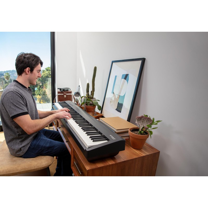 roland fp 30x roland fp 30x