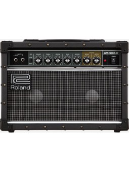 Roland JC-22