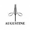 Augustine