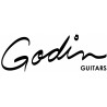 Godin